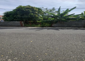 ¿Buscas terreno para construir tu casa o negocio en la Autopista de San Isidro?