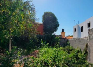 Solar Brisa Oriental